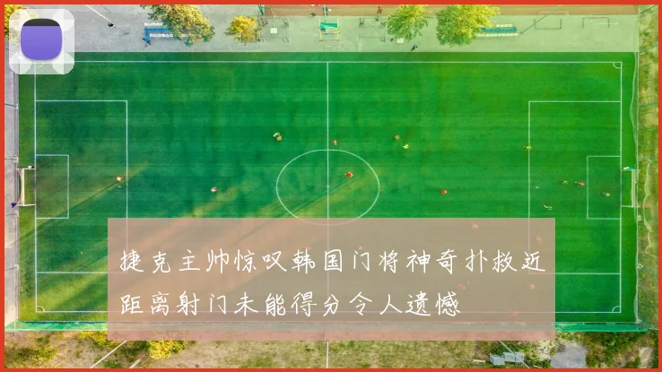 捷克主帅惊叹韩国门将神奇扑救近距离射门未能得分令人遗憾